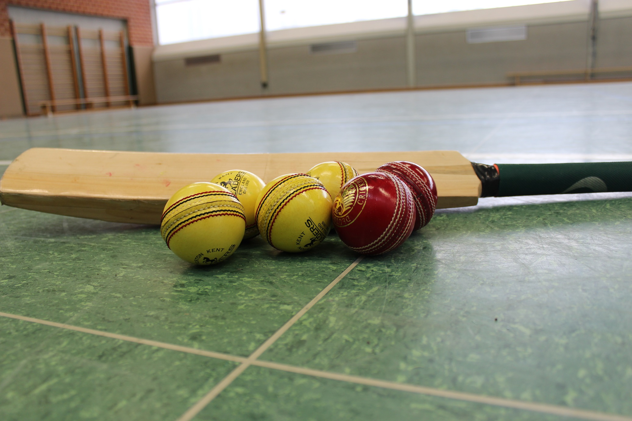 Indoor Cricket